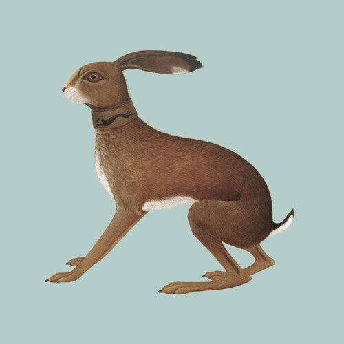 Vashti Bunyan - Lookaftering - Expanded CD (Booklet, Anniversary Edition, Expanded Version)