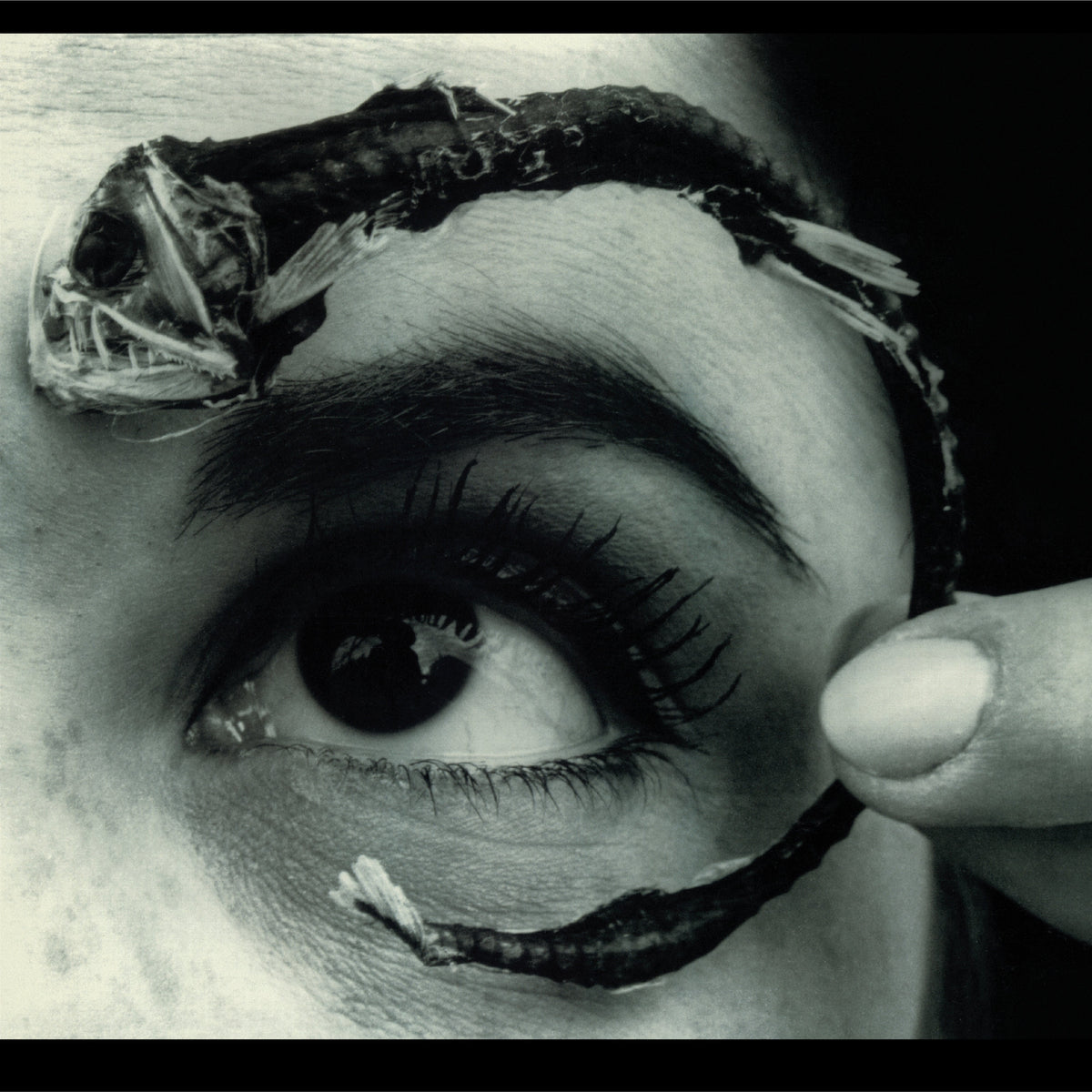 Mr. Bungle - Disco Volante [ROCKtober 2025] [2-lp Translucent Light Blue Vinyl]