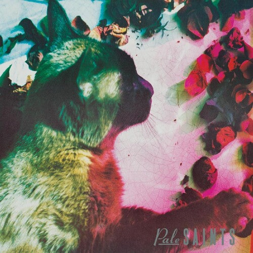 Pale Saints - Comforts Of Madness LP
