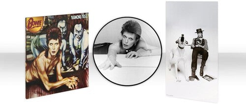 David Bowie - Diamond Dogs LP (50th Anniversary Picture Disc)