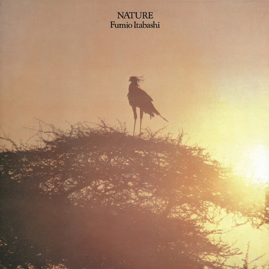 Fumio Itabashi - Nature LP