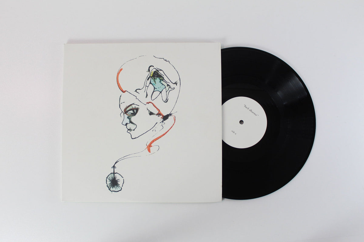 Wooden Wand, The Vanishing Voice - Buck Dharma on Time-Lag Records