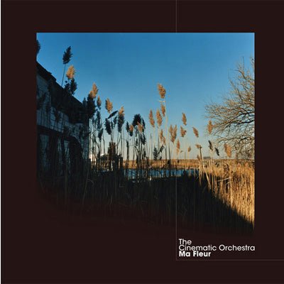 Cinematic Orchestra, The - Ma Fleur (Limited Edition Clear 2LP Vinyl)