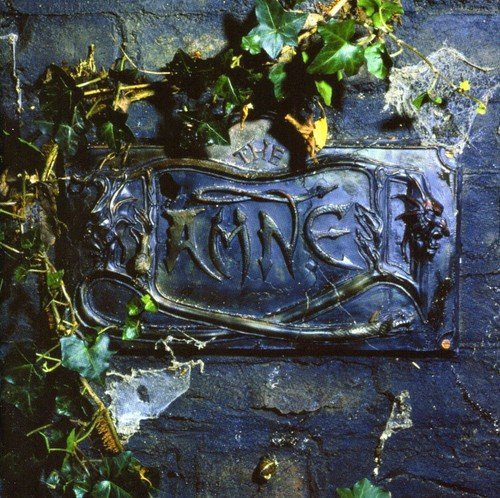 The Damned – The Black Album 2LP Vinyl
