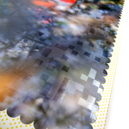 Four Tet: Sixteen Oceans Vinyl 2LP